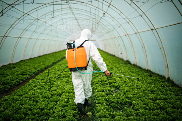 Best Best Pest Control Companies  in Hampton Bays, NY