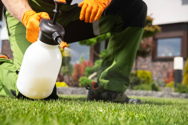 Best Pest Inspection Near Me  in Hampton Bays, NY