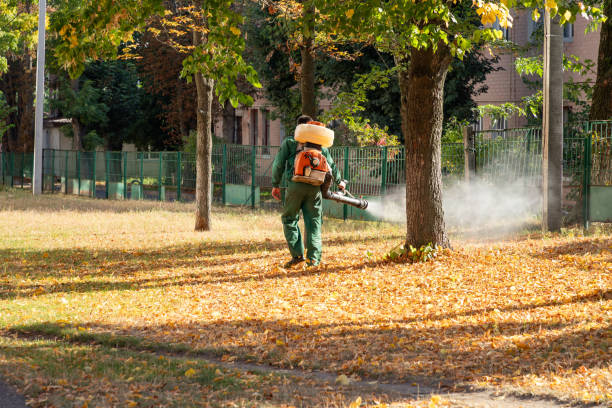 Hampton Bays, NY Pest Control Company